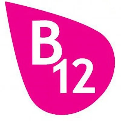 stichtingb12tekort.nl's icon