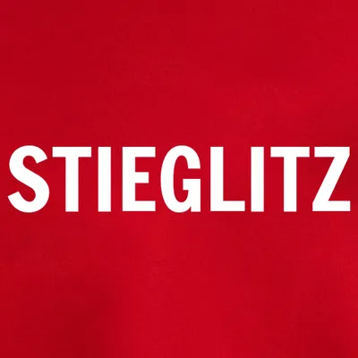 stieglitz.nl's icon