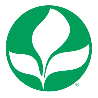 stinesemillas.com.ar's icon