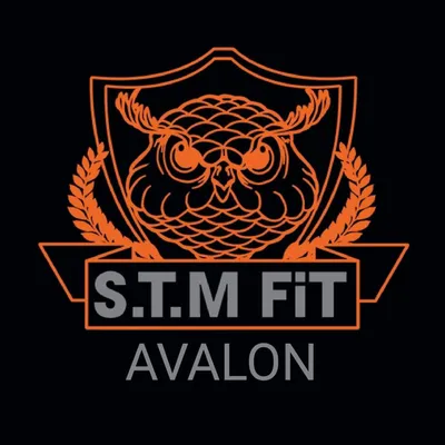 stmfunctionalfit.com's icon