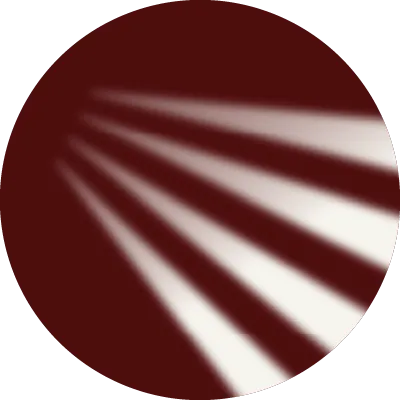 stores-discount.com's icon