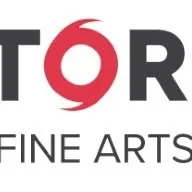 stormfinearts.com's icon