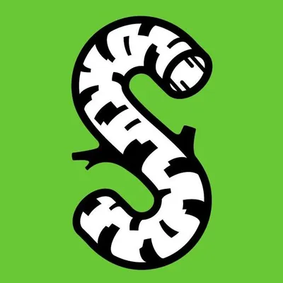 straikas.lt's icon