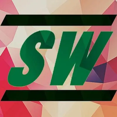 streetwise.org's icon