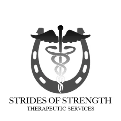 stridesofstrength.org's icon