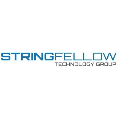 stringhost.com's icon