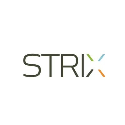 strixinternational.com's icon
