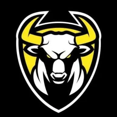 strong.lk's icon