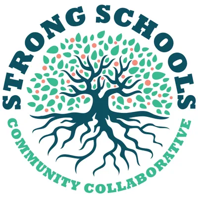 strongschools.co.za's icon