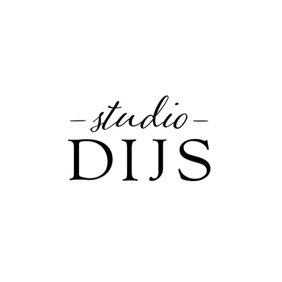 studiodijs.nl's icon