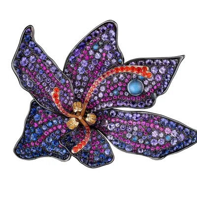 studiojewelerswi.com's icon