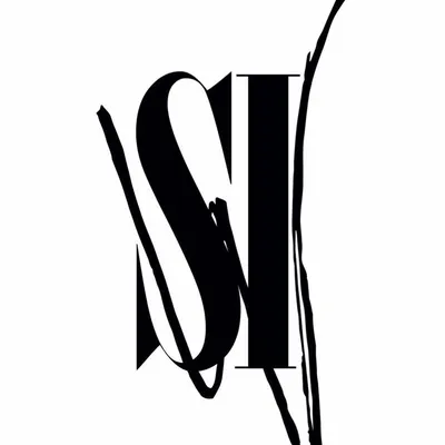 styleiswhat.com's icon