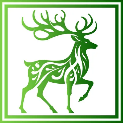 suanhatrongoiantam.com's icon