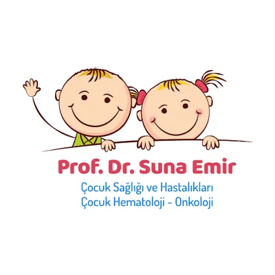 sunaemir.com's icon