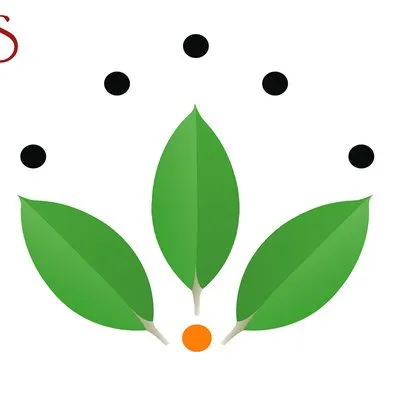 sunnapharma.com's icon