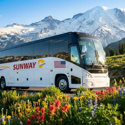 sunwaycharters.com's icon