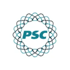 superpersonal.ru's icon