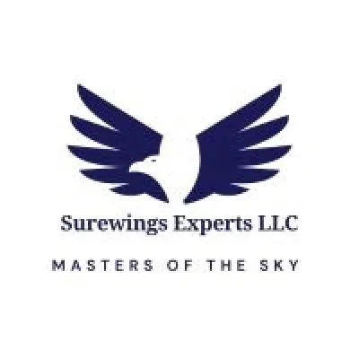 surewings.ae's icon