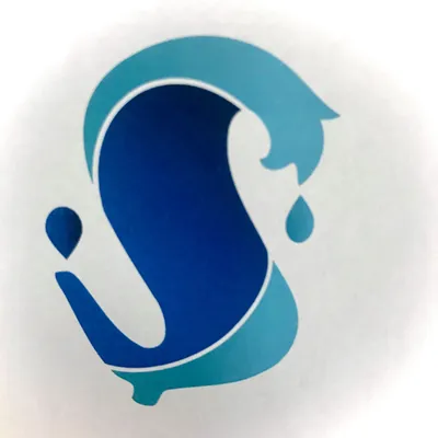 surfatech.com's icon