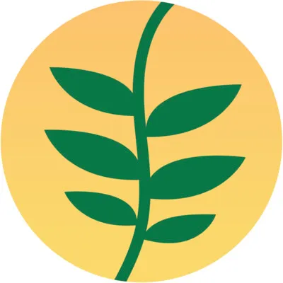 suryanesia.com's icon