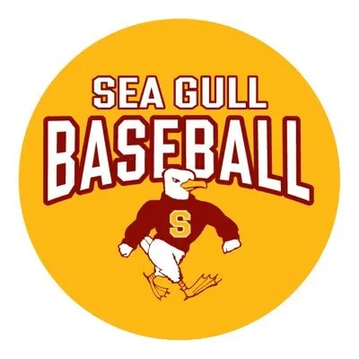 suseagulls.com's icon