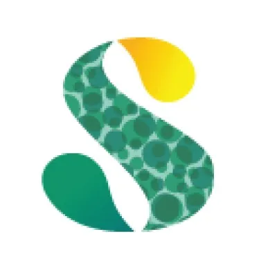 sustainableflightsolutions.com's icon
