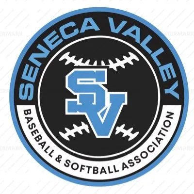 svbsa.com's icon