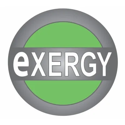 swedishexergy.com's icon