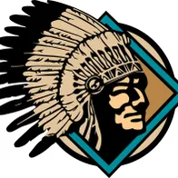 swfirepros.com's icon