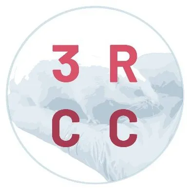 swiss3rcc.org's icon