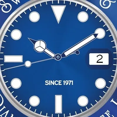 swisswatch.net's icon