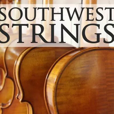 swstrings.com's icon