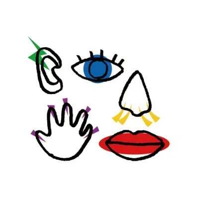 synapse.jp's icon