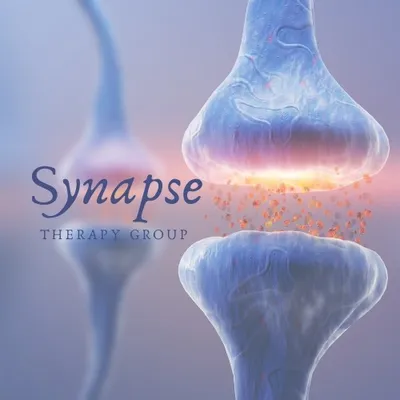 synapsetherapygroup.com's icon