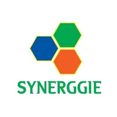 synerggie.com's icon