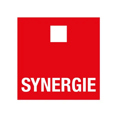 synergie.es's icon
