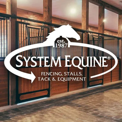 systemequine.com's icon