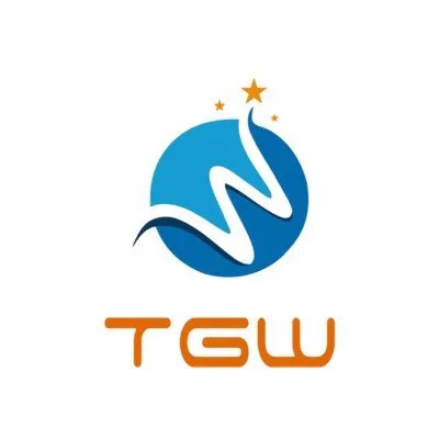 sztigerwong.com's icon