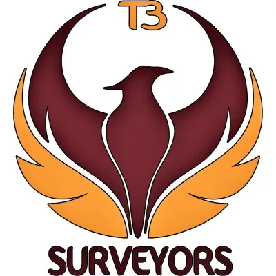 t3surveyors.com's icon