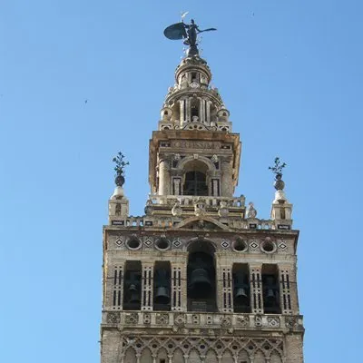 tabernabelmonte.com's icon