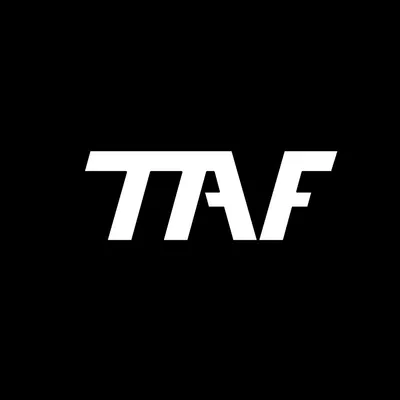 taftheartofighting.com's icon