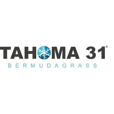 tahoma31.com's icon