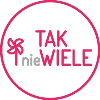 takniewiele.com's icon