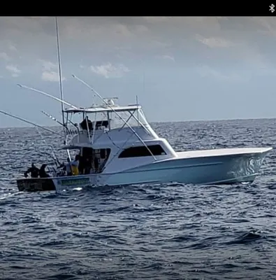 talkintrashsportfishing.com's icon