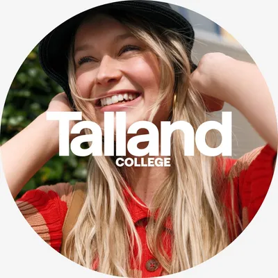talland.nl's icon