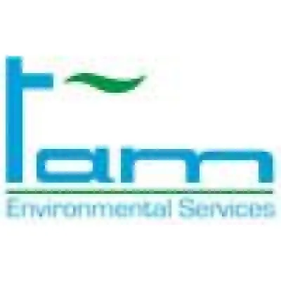 tam-es.com's icon