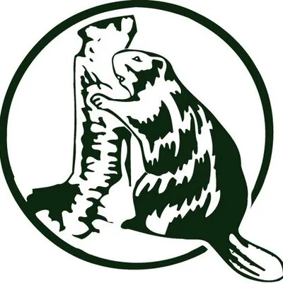 tamakwa.com's icon