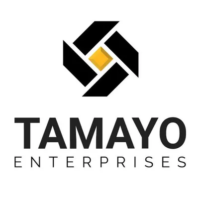 tamayo.com.do's icon