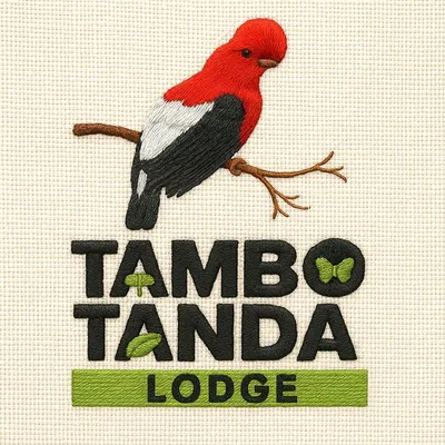 tambotanda.com's icon