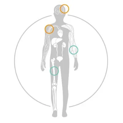 tamirna.com's icon